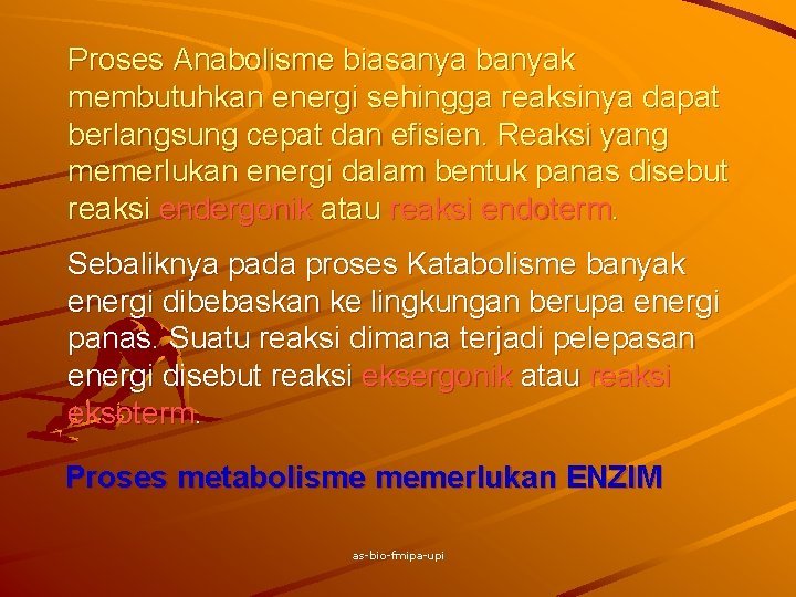 Proses Anabolisme biasanya banyak membutuhkan energi sehingga reaksinya dapat berlangsung cepat dan efisien. Reaksi