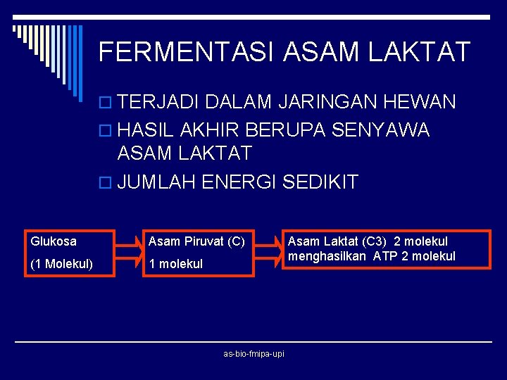 FERMENTASI ASAM LAKTAT o TERJADI DALAM JARINGAN HEWAN o HASIL AKHIR BERUPA SENYAWA ASAM