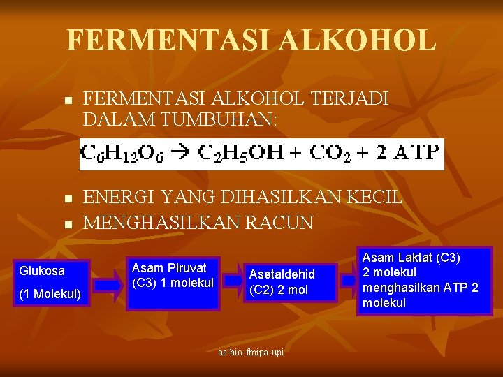 FERMENTASI ALKOHOL n n n Glukosa (1 Molekul) FERMENTASI ALKOHOL TERJADI DALAM TUMBUHAN: ENERGI