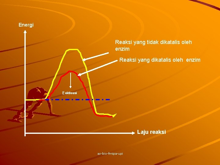 Energi Reaksi yang tidak dikatalis oleh enzim Reaksi yang dikatalis oleh enzim Eaktivasi Laju