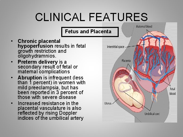 CLINICAL FEATURES Fetus and Placenta • Chronic placental hypoperfusion results in fetal growth restriction