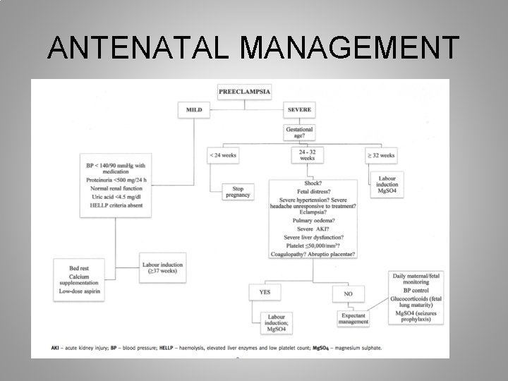 ANTENATAL MANAGEMENT 