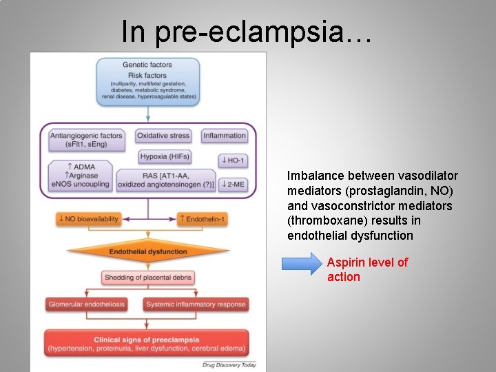 In pre-eclampsia… Imbalance between vasodilator mediators (prostaglandin, NO) and vasoconstrictor mediators (thromboxane) results in