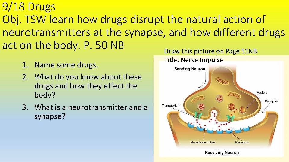 9/18 Drugs Obj. TSW learn how drugs disrupt the natural action of neurotransmitters at