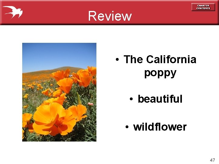 Review • The California poppy • beautiful • wildflower 47 