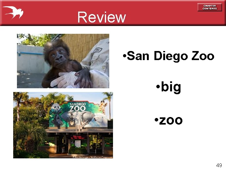 Review • San Diego Zoo • big • zoo 49 