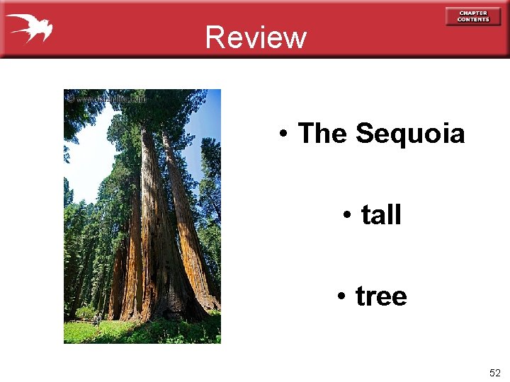 Review • The Sequoia • tall • tree 52 