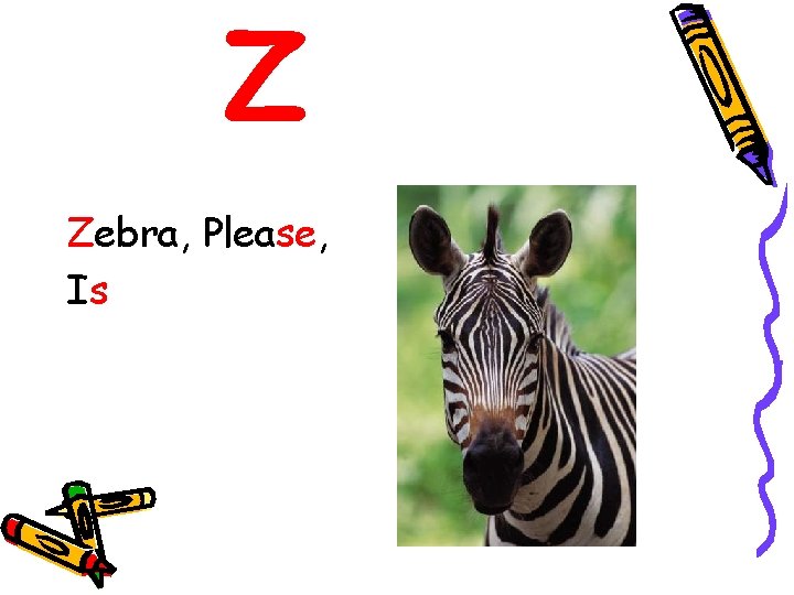 Z Zebra, Please, Is 