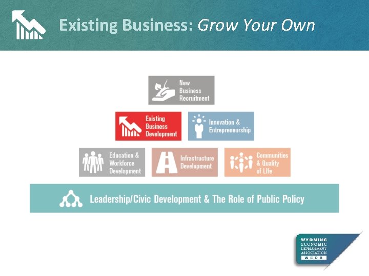 Existing Business: Grow Your Own 