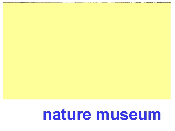 nature museum 