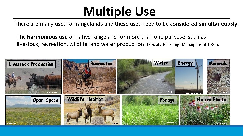 Multiple Use There are many uses for rangelands and these uses need to be