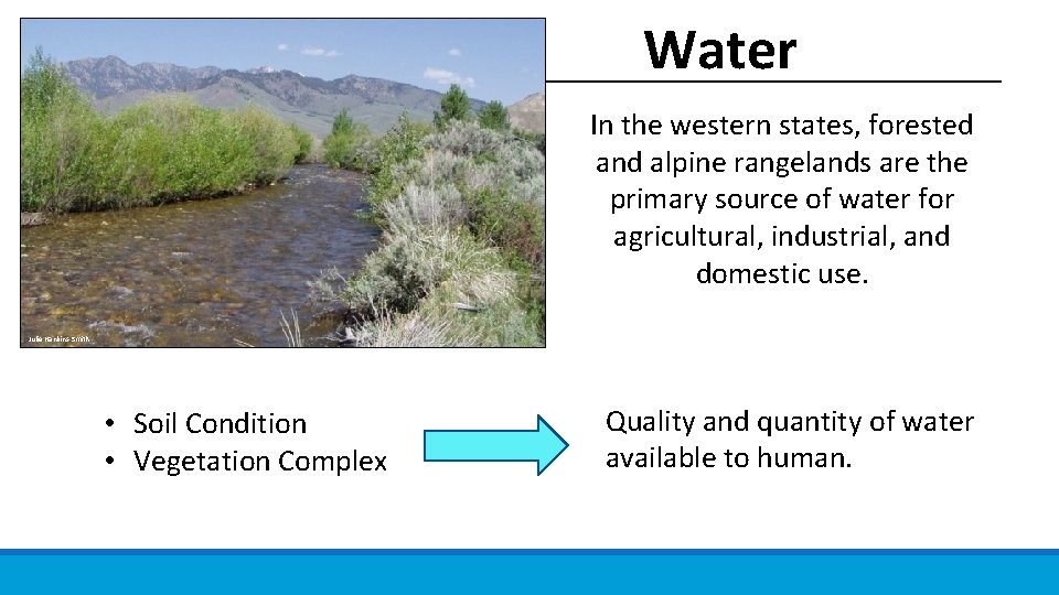 Water In the western states, forested and alpine rangelands are the primary source of