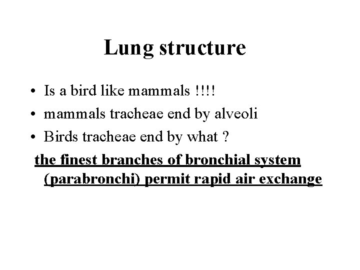 Lung structure • Is a bird like mammals !!!! • mammals tracheae end by