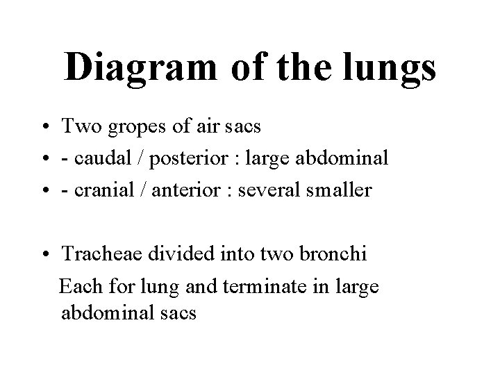 Diagram of the lungs • Two gropes of air sacs • - caudal /