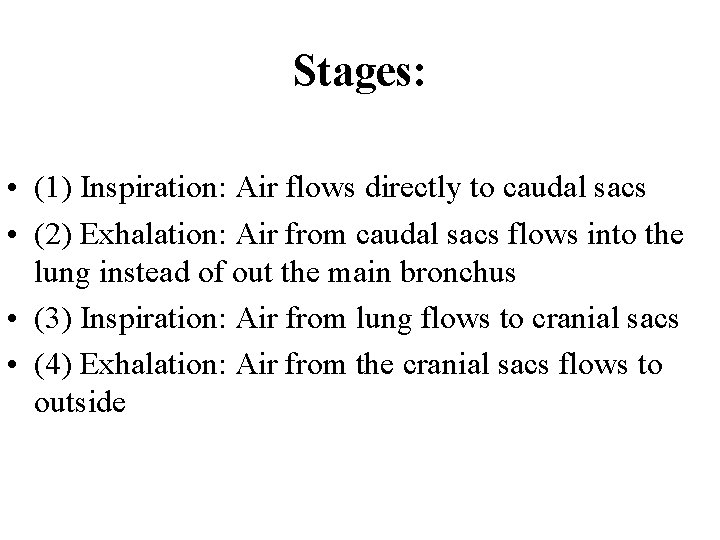 Stages: • (1) Inspiration: Air flows directly to caudal sacs • (2) Exhalation: Air