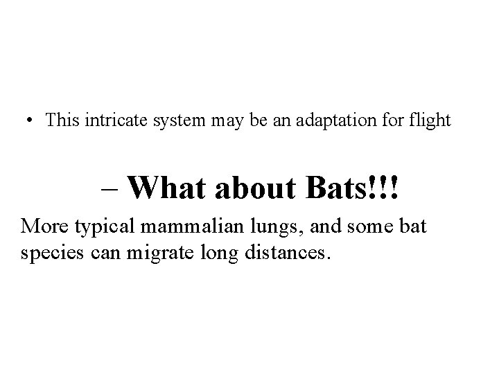 • This intricate system may be an adaptation for flight – What about