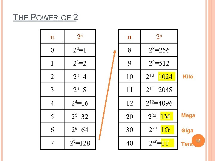 THE POWER OF 2 n 2 n 0 20=1 8 28=256 1 21=2 9