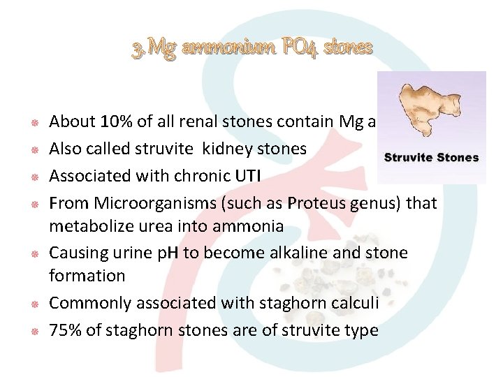 3. Mg ammonium PO 4 stones About 10% of all renal stones contain Mg