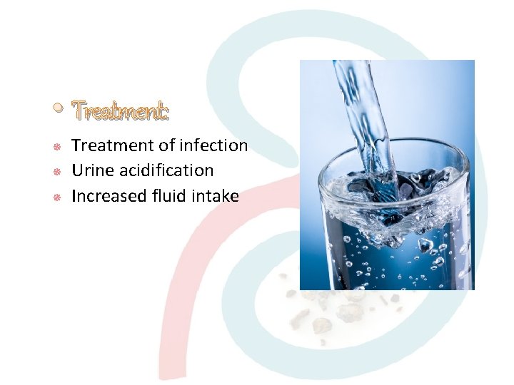  • Treatment: Treatment of infection Urine acidification Increased fluid intake 