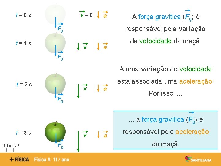 t=0 s v=0 a responsável pela variação Fg t=1 s A força gravítica (Fg)