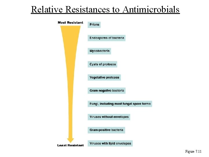 Relative Resistances to Antimicrobials Figure 7. 11 