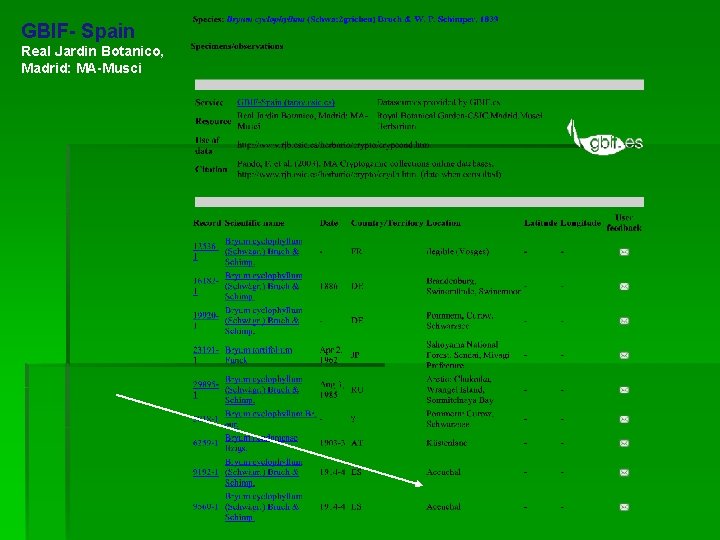 GBIF- Spain Real Jardin Botanico, Madrid: MA-Musci 