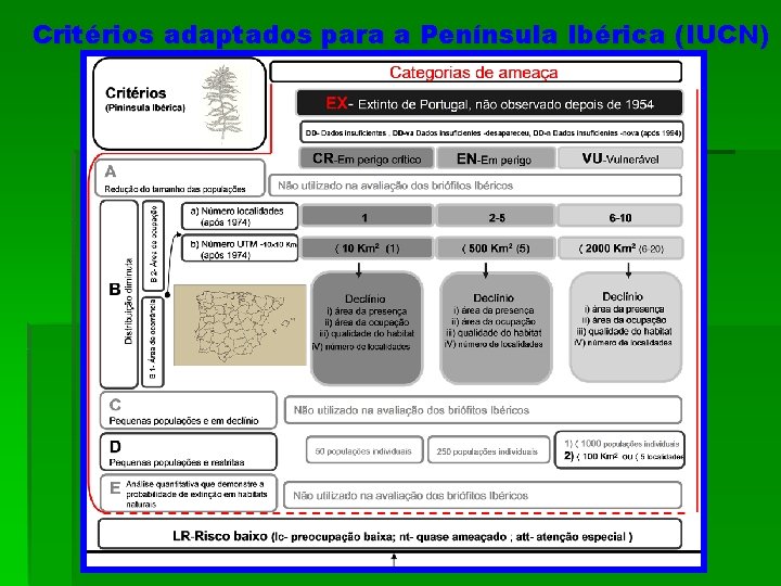 Critérios adaptados para a Península Ibérica (IUCN) 