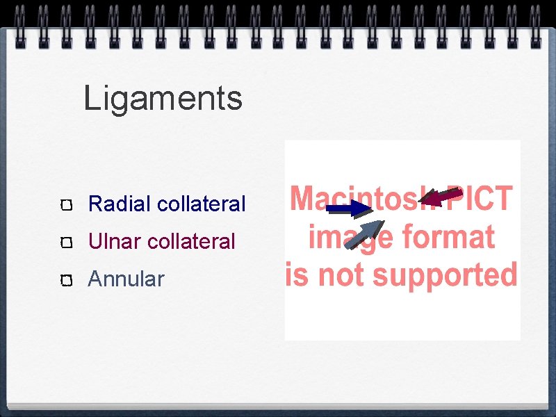 Ligaments Radial collateral Ulnar collateral Annular 