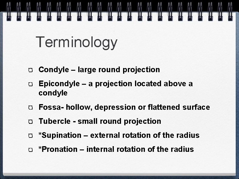 Terminology Condyle – large round projection Epicondyle – a projection located above a condyle