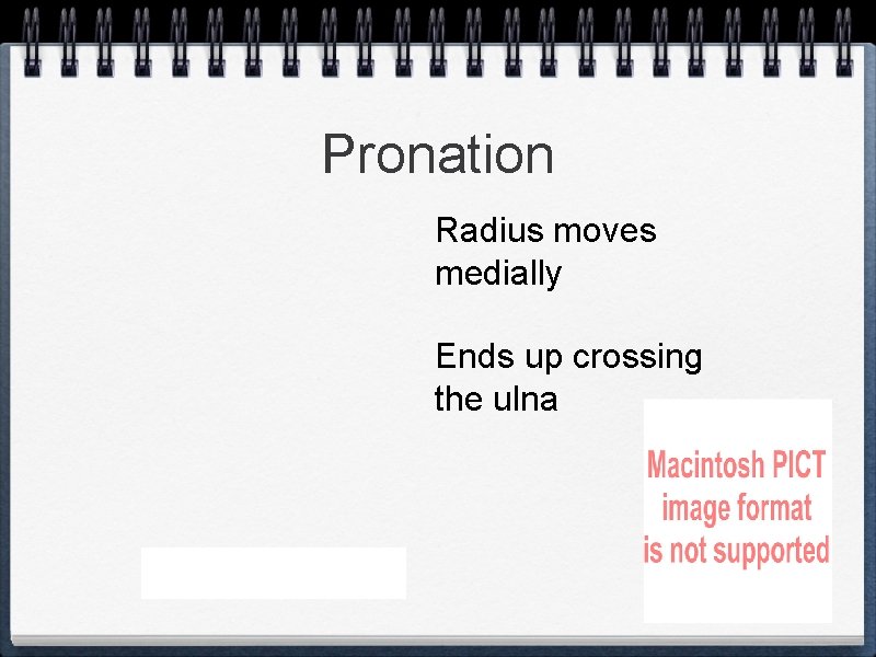 Pronation Radius moves medially Ends up crossing the ulna 