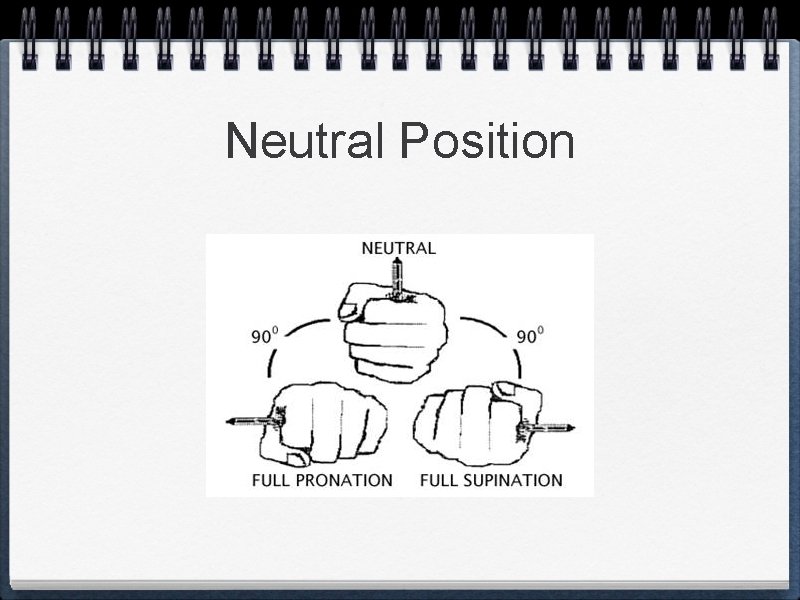 Neutral Position 