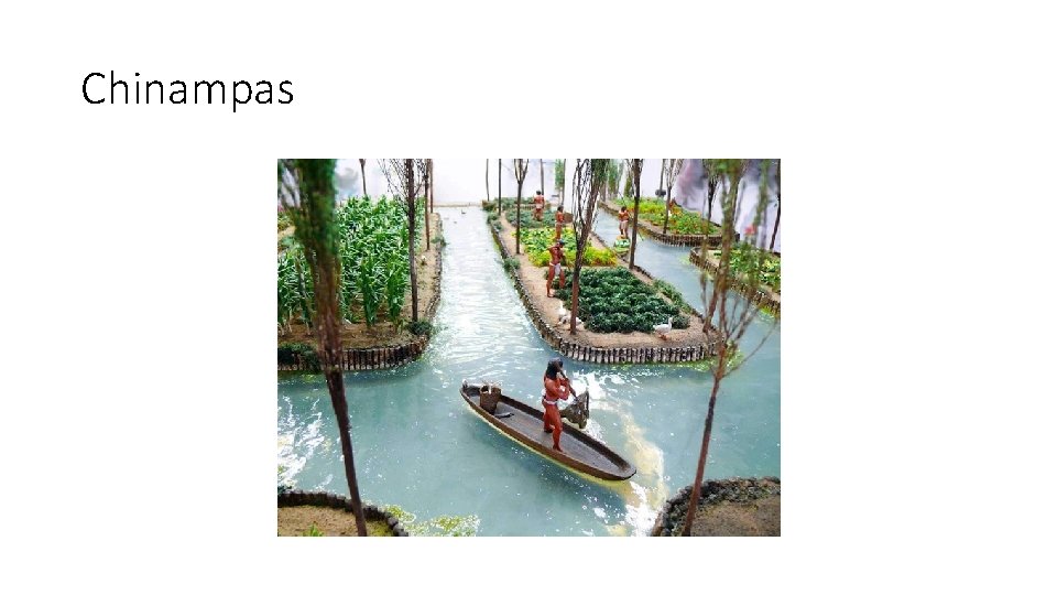 Chinampas 