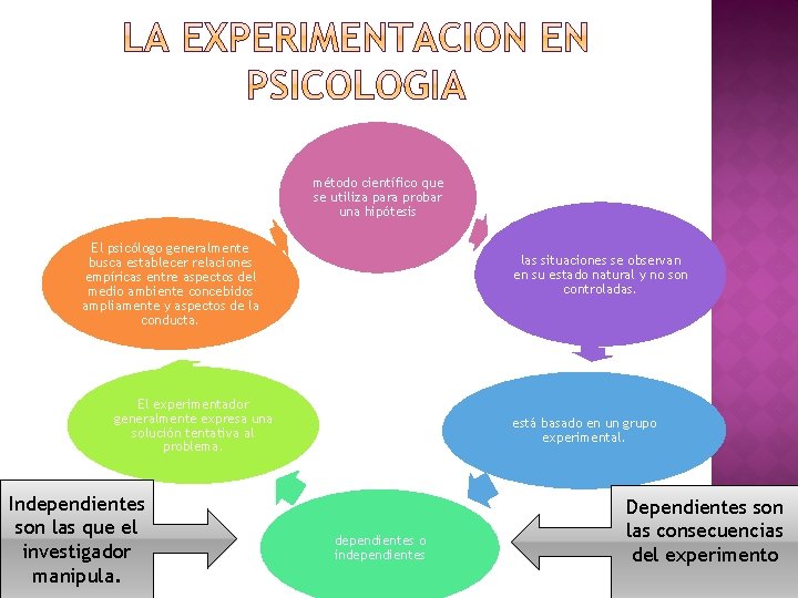 método científico que se utiliza para probar una hipótesis El psicólogo generalmente busca establecer