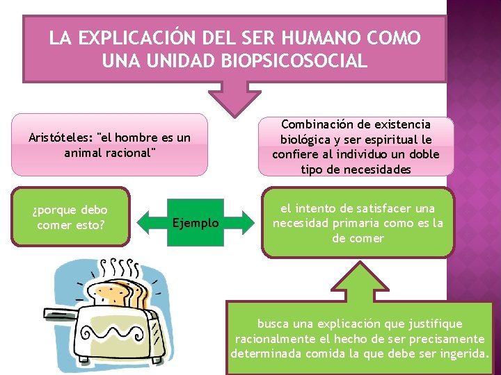 LA EXPLICACIÓN DEL SER HUMANO COMO UNA UNIDAD BIOPSICOSOCIAL Aristóteles: "el hombre es un