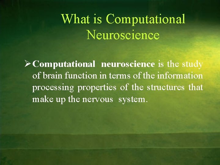 What is Computational Neuroscience Ø Computational neuroscience is the study of brain function in
