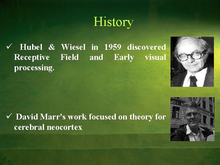 History ü Hubel & Wiesel in 1959 discovered Receptive Field and Early visual processing.