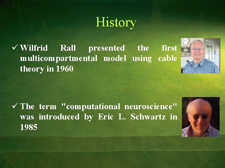 History ü Wilfrid Rall presented the first multicompartmental model using cable theory in 1960