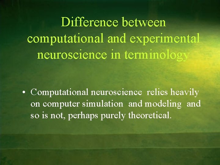 Difference between computational and experimental neuroscience in terminology • Computational neuroscience relies heavily on