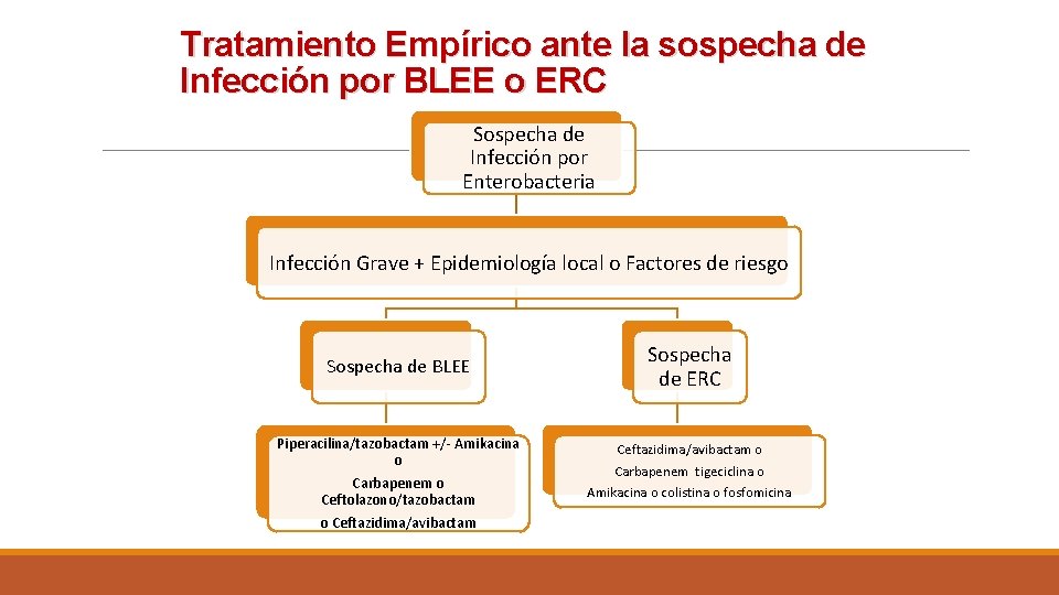 Tratamiento Empírico ante la sospecha de Infección por BLEE o ERC Sospecha de Infección