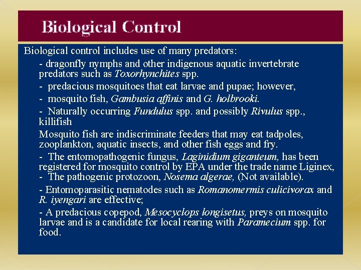 Biological Control Biological control includes use of many predators: - dragonfly nymphs and other