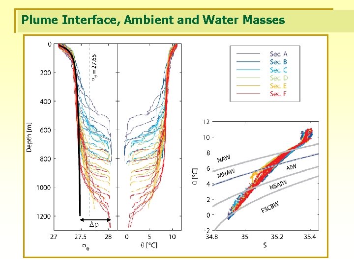 Plume Interface, Ambient and Water Masses Dr 