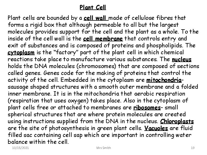 Plant Cell Plant cells are bounded by a cell wall made of cellulose fibres