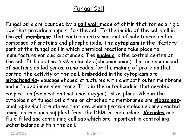 Fungal Cell Fungal cells are bounded by a cell wall made of chitin that