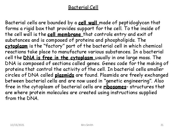 Bacterial Cell Bacterial cells are bounded by a cell wall made of peptidoglycan that