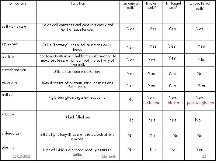 Structure Function In animal cell? In plant cell? In fungal cell? In bacterial cell?