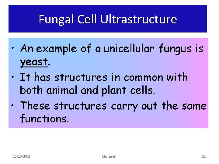 Fungal Cell Ultrastructure 10/15/2021 Mrs Smith 31 