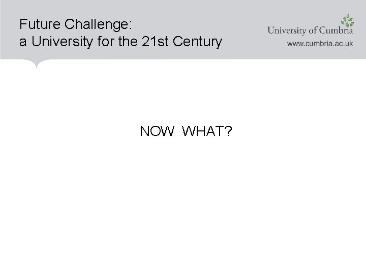 Future Challenge: a University for the 21 st Century NOW WHAT? 