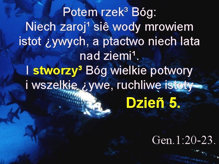 Potem rzek³ Bóg: Niech zaroj¹ siê wody mrowiem istot ¿ywych, a ptactwo niech lata