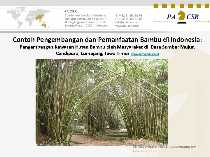 Contoh Pengembangan dan Pemanfaatan Bambu di Indonesia: Pengembangan Kawasan Hutan Bambu oleh Masyarakat di