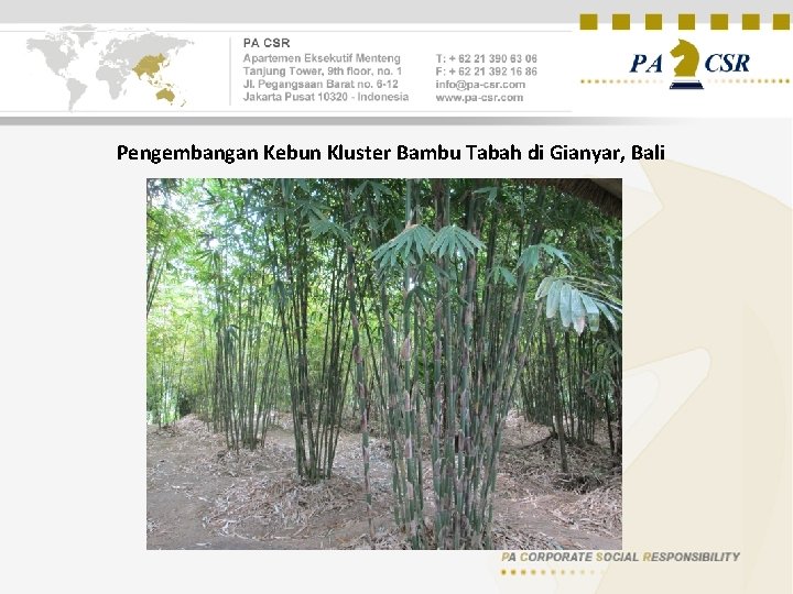 Pengembangan Kebun Kluster Bambu Tabah di Gianyar, Bali 